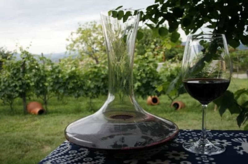 Kahketi: Full-Day Wine Tasting Tour with Lunch - Key Highlights You Should Know Before You Go
