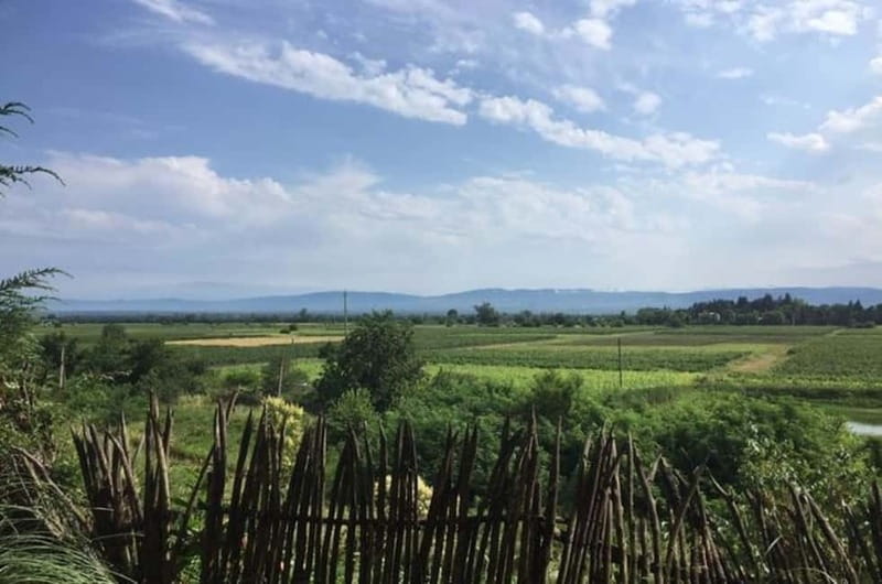 Kahketi: Full-Day Wine Tasting Tour with Lunch - Small Group Energy and Private-Car Comfort
