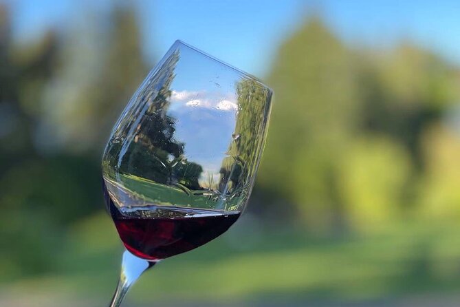 Kakheti.All inclusive Wine tour with family lunch - Why Kakheti makes sense for a one-day wine plan