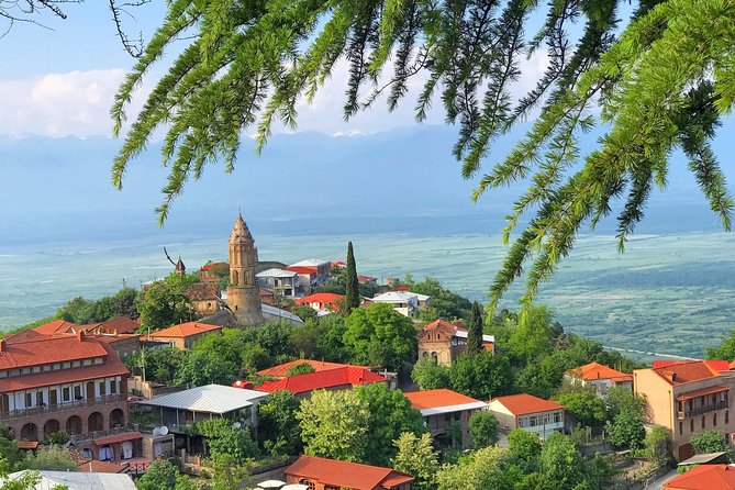 Kakheti and Sighnaghi tour with winetasting - Key Highlights You’ll Actually Care About