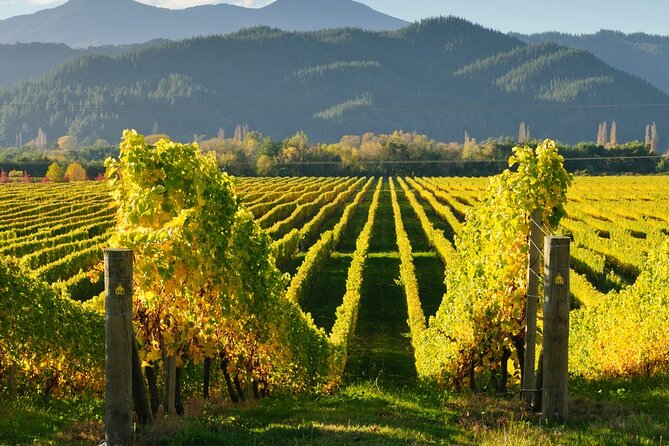 Kakheti: Bodbe, Sighnaghi, Telavi Wine Tour from Tbilisi - Sighnaghi: town of pastel streets, and that famous wall walk