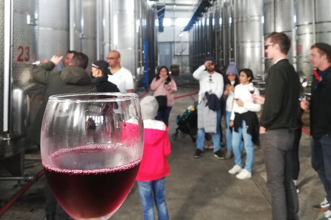 Kakheti Full Day Private Tour - Khareba Wine Tunnel, a fun add-on if you want the underground wow