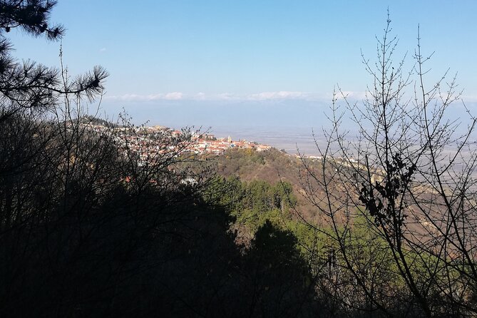 Kakheti Full Day Private Tour - Who this Kakheti tour is best for
