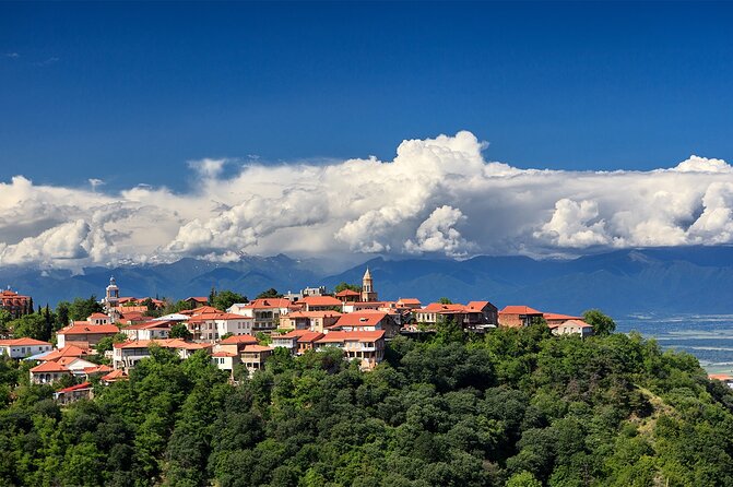 Kakheti Private: Wine, History, and City of Love - Kindzmarauli Corporation Wine House, a Structured Five-Wine Tasting