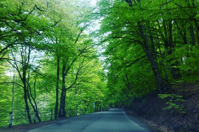 Kakheti Region Khareba Winery Telavi City Gremi Castle Day Tour - Gombori Pass: the mountain range stop that explains Kakheti’s map
