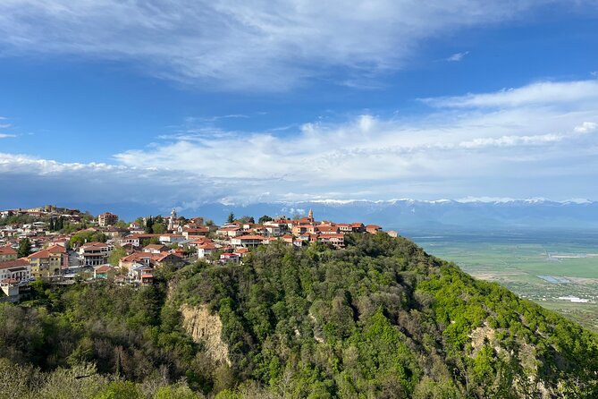 Kakheti-Sighnaghi Day Trip with wine tasting and Bodbe Monastery - Key highlights worth planning around