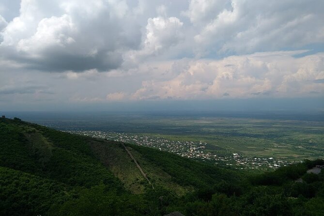 Kakheti-Sighnaghi Day Trip with wine tasting and Bodbe Monastery - Patardzeuli wine tasting: what you get from 1 hour at the factory