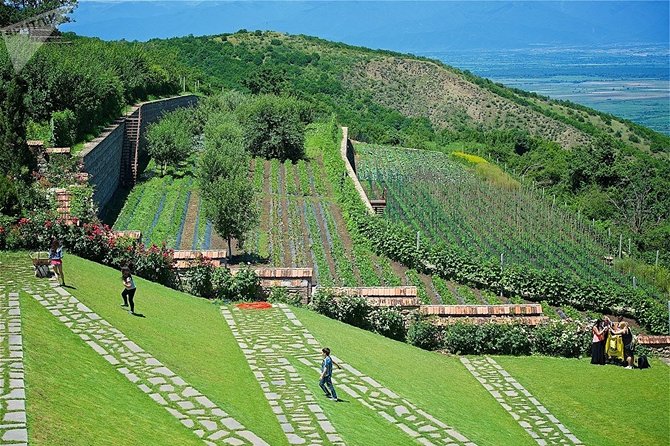 Kakheti: Signagi, Bodbe Monastery, Telavi, Wine Tour. Private tour - Badiauri Churchkheli and Shoti Bread: A Sweet Finisher