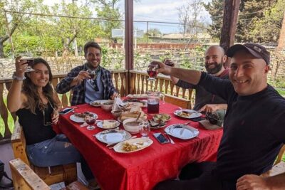 Kakheti – Small wineries and family-cooked lunch • Private tour
