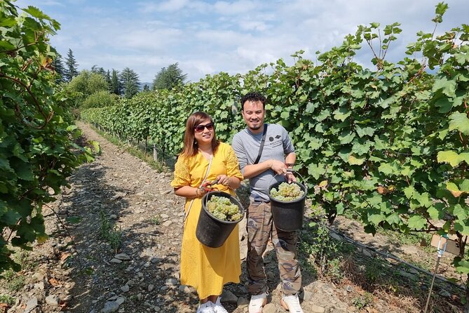Kakheti - Small wineries and family-cooked lunch • Private tour - Bodbe Monastery of St. Nino: A Calm Finish Over the Valley