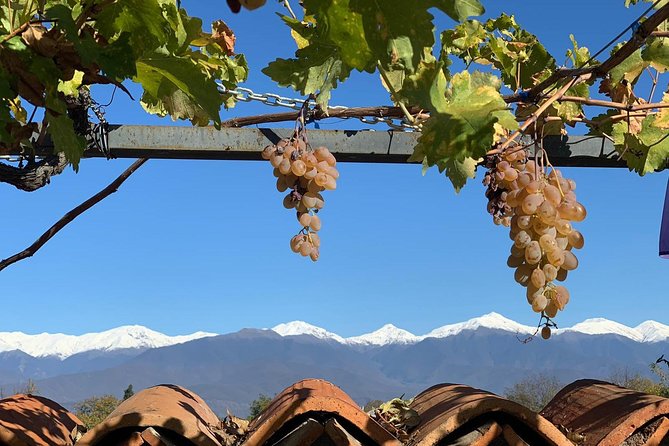 ️ Kakheti tour - Private Full Day Wine tour with Lunch and Wine tasting - Price and what $175 buys you in real value