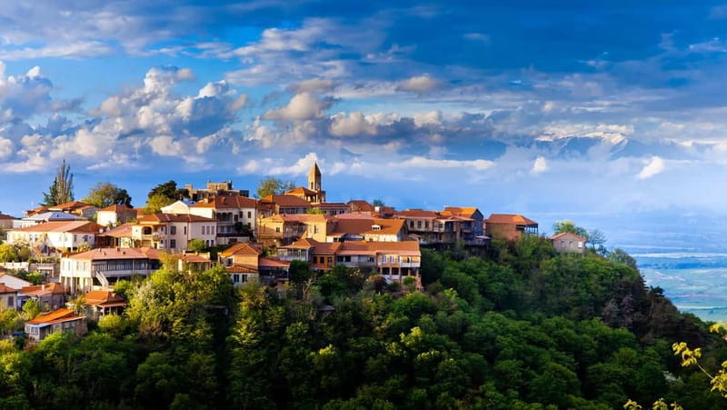 Kakheti: Wine, Love, and Adventure - Kakheti: wine, villages, and views in one long day