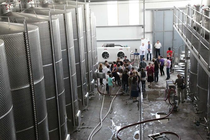 Kakheti Wine & Sighnaghi Private Tour from Tbilisi - Stop 1, Patardzeuli and KTW: Five-Wine Tasting with a Real Production Story