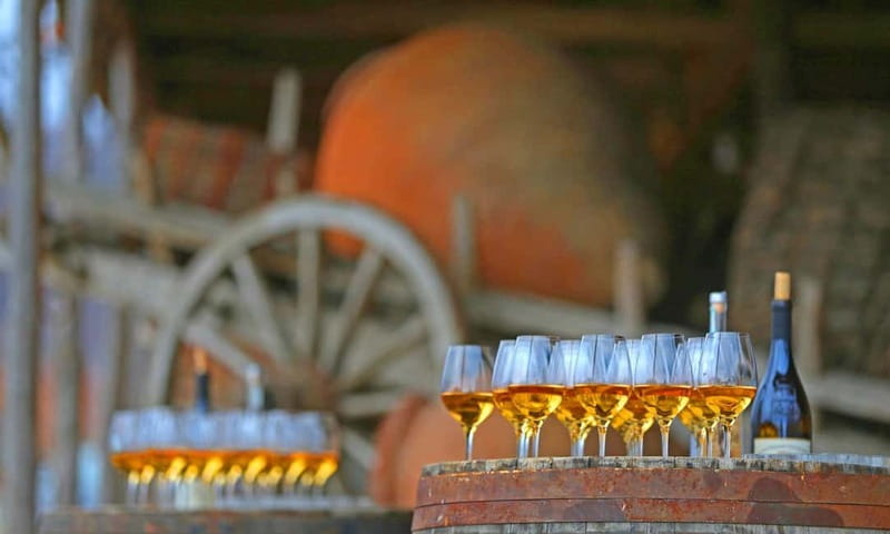 Kakheti Wine Tour - Explore the Art of Kvevri Winemaking - The wine tasting: Saperavi and Rkatsiteli, plus what to listen for