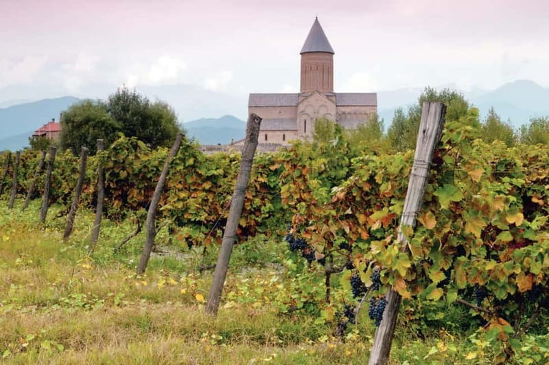 Kakheti Wine Tour - Explore the Art of Kvevri Winemaking - Price and value for a Kakheti wine day