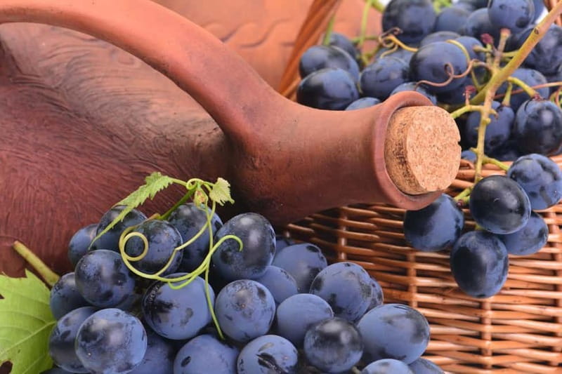 Kakheti Wine Tour - Explore the Art of Kvevri Winemaking - Should you book the Kakheti kvevri tour?
