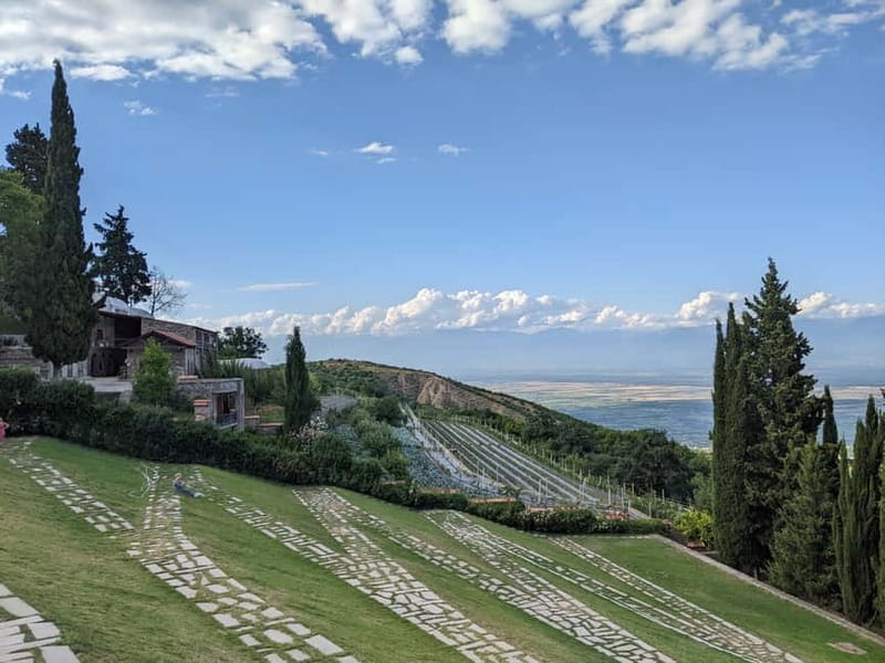 Kakheti: Wine tour from Tbilisi - Enjoy 6 sorts of wine - Key things to know before you go