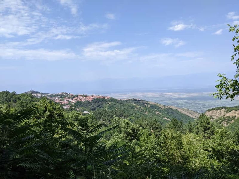Kakheti: Wine tour from Tbilisi - Enjoy 6 sorts of wine - Sighnaghi and Bodbe Monastery of St. Nino, Walkable Views and Photo Time
