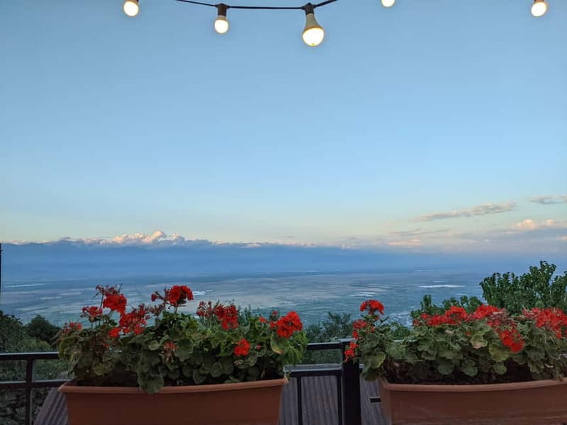 Kakheti: Wine tour from Tbilisi - Enjoy 6 sorts of wine - Lunch Near Lake Ilia, Mountain Views and Proper Kakhetian Food