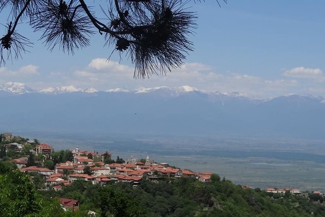 Kakheti wine Tour: Telavi-Kvareli-Signagi and Wine cellars - Key highlights worth planning for