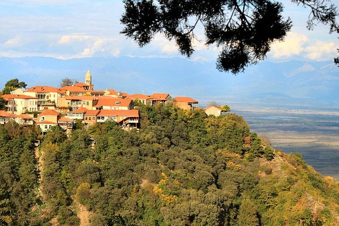 Kakheti wine Tour: Telavi-Kvareli-Signagi and Wine cellars - What the price really covers, and what you pay for separately