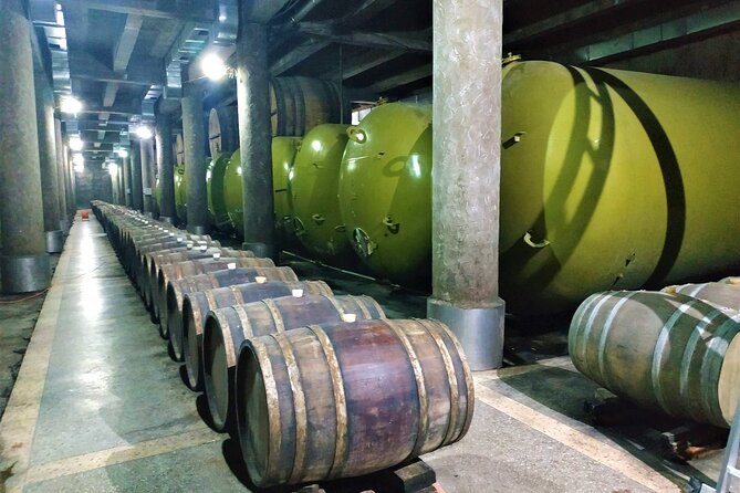 Kakheti Wine Tour with 20+ Wine Tastings & Qvevri Masterclass - Khareba’s wine tunnel near Kvareli: aging for decades underground