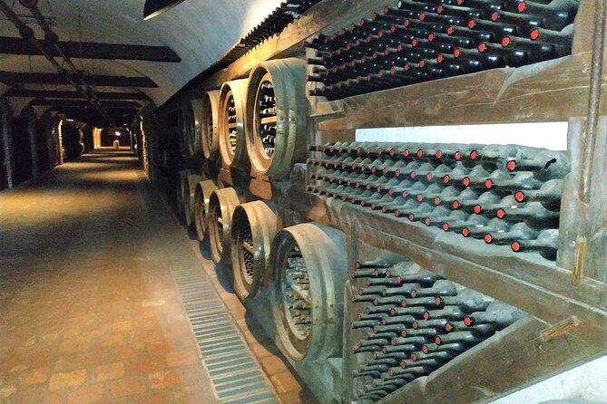 Kakheti Wine Tour with 20+ Wine Tastings & Qvevri Masterclass - 295 km, 10 hours, and why timing is part of the value