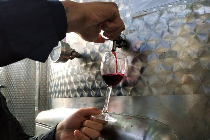 Kakheti Wine Tour with 20+ Wine Tastings & Qvevri Masterclass - Price and value: what $147.50 covers and why it can still be a bargain