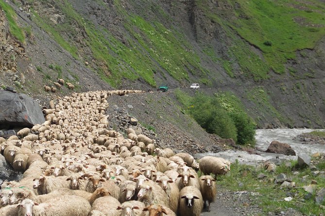 Kazbegi Day trip - Price and value: $190 per group for a packed day