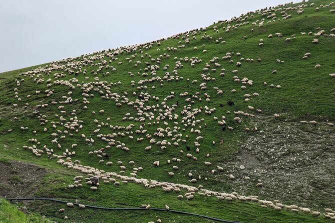 Kazbegi & Gudauri Private Full-Day Tour From Tbilisi - The route: Georgian Military Highway, Zhinvali Reservoir, and the color rivers