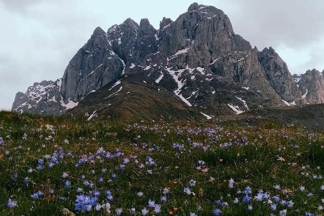 Kazbegi & Juta, 2-day tour. (easy hikings) - Should you book this Kazbegi and Juta two-day hike?