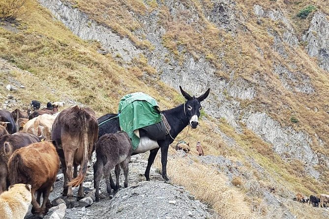 Kazbegi MOUNTAIN Tour (GLORY OF THE NATURE) + MANY NEW LOCATIONS - Zhinvali Dam and the Aragvi River: quick stops, big photo payoffs