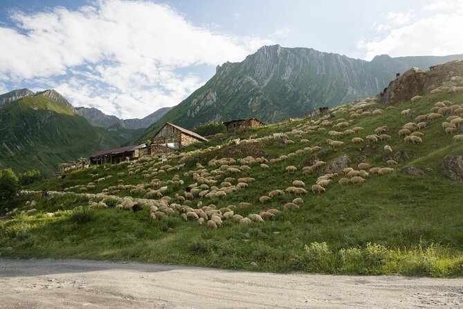Kazbegi - One Day Private Trekking Tour to Truso Valley - The Ketrisi Picnic Near a Natural Pool: Easy Steps, Long-Day Reality