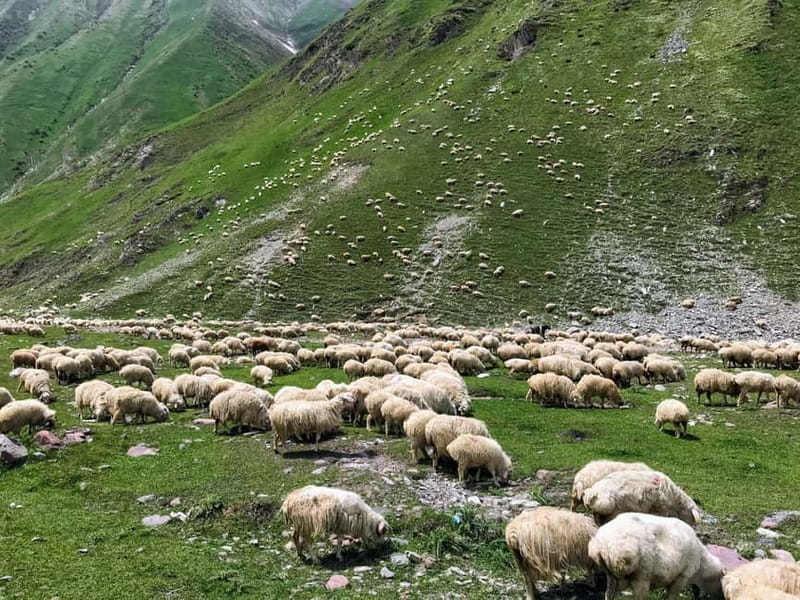 Kazbegi, Stepantsminda, and Gudauri Tour - Key things I’d clock before you go