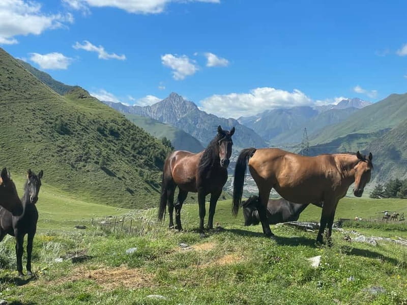 Kazbegi:Sunset Horse Riding Tour from Rooms Hotel Kazbegi - The actual ride: 1 hour of mountain time