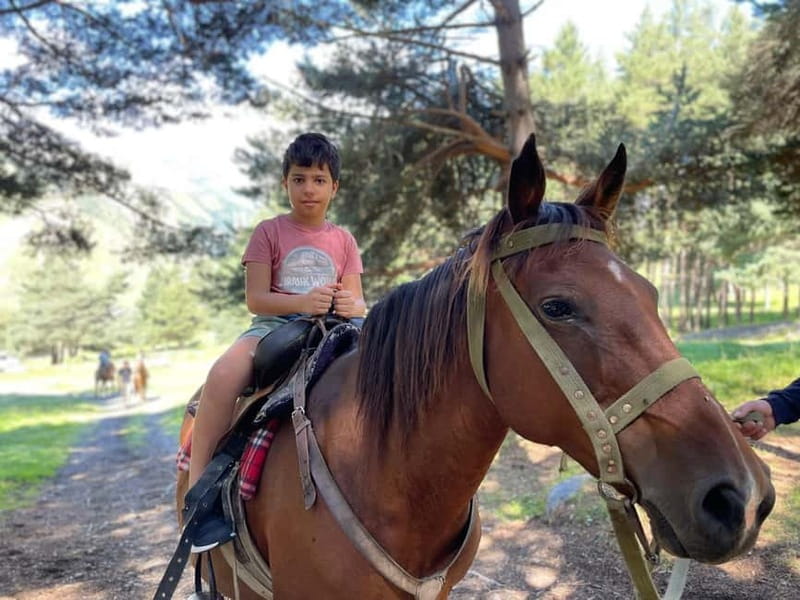 Kazbegi:Sunset Horse Riding Tour from Rooms Hotel Kazbegi - What to bring, wear, and skip