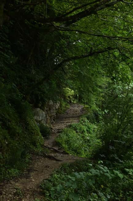 Kutaisi: Okatse-Martvili Canyons,Prometheus Cave, Waterfalls - Who this Kutaisi tour suits best, and who might not love it