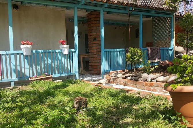 Kutaisi uncorked: Wine Tasting at a local Family Home - Price and value: $50 per person for a private tasting