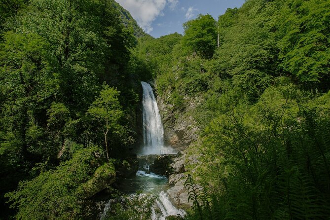 Lagodekhi - A day hiking from Tbilisi - Key highlights worth showing up for