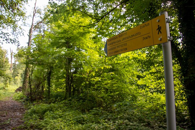 Lagodekhi - A day hiking from Tbilisi - The Gurgeniani Visitor Center trail: shaded forest and River-side walking