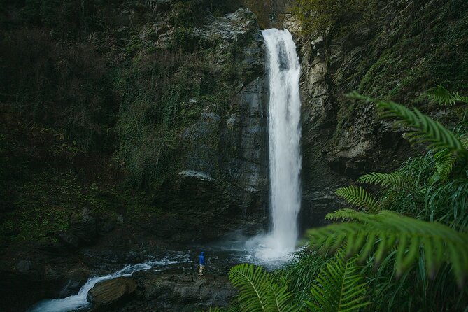 Lagodekhi - A day hiking from Tbilisi - Guides on this hike: Makho, Giga, and George set the tone
