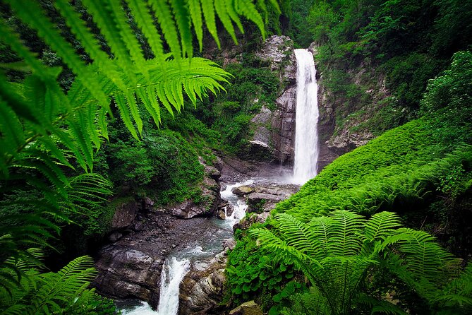 Lagodekhi - A day hiking from Tbilisi - What to pack for a moderate, river-forest hike