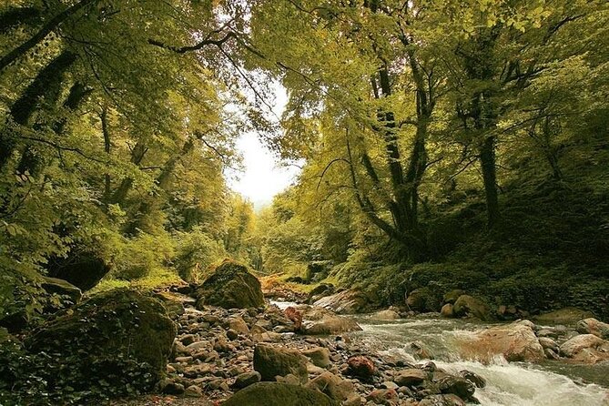 Lagodekhi - A day hiking from Tbilisi - Ninoskhevi Waterfall: the 40-meter payoff and what to do once you arrive