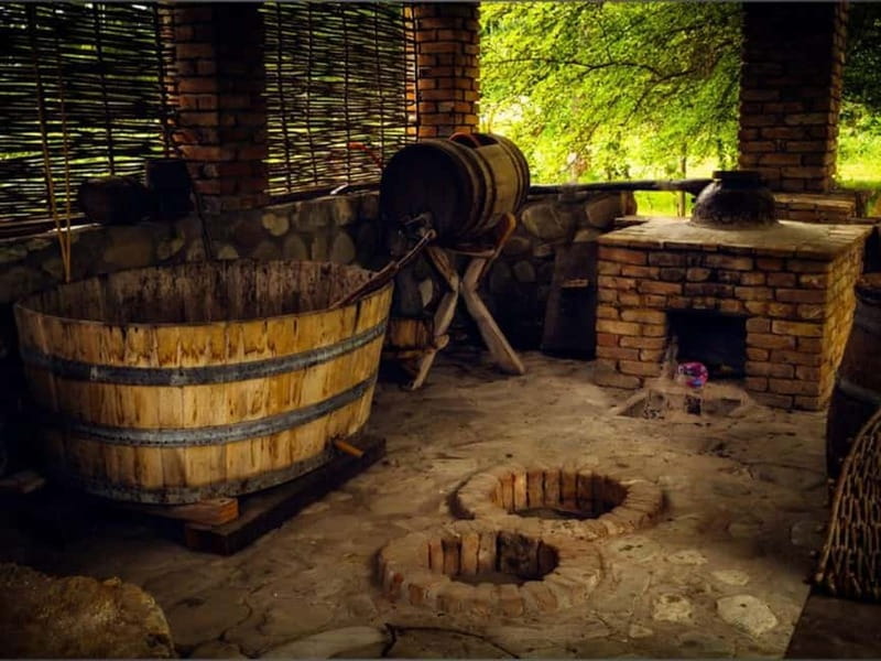 Land of the Sun Full Day Wine and Grapes Tour in Kakheti - Key things I’d circle before you book