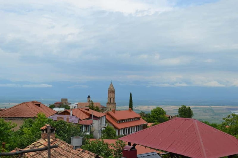 Land of the Sun Full Day Wine and Grapes Tour in Kakheti - Who this tour is best for in Kakheti