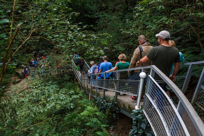 Martvili canyon & Prometheus Cave group tour from Tbilisi - Why the Kutaisi Connection Matters on This Day
