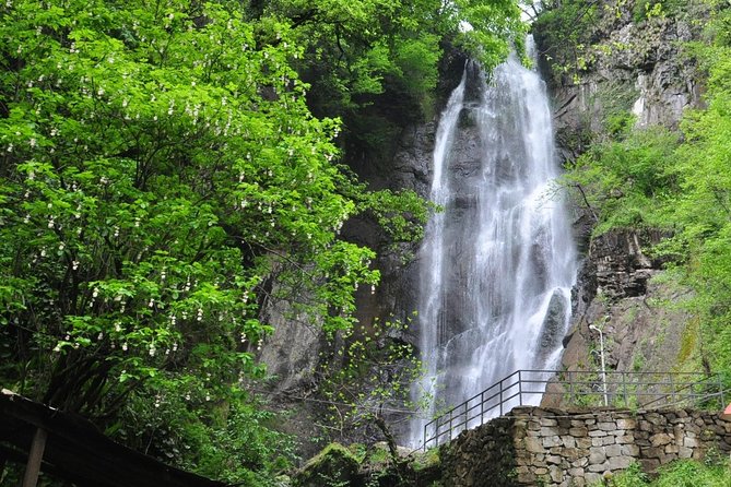 Mountains of Adjara Private Wine Tour from Batumi - Key highlights to expect on this Adjara tour