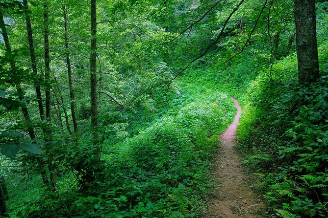 Mtirala National Park Tour - The waterfall and lake hike: what you’ll feel on the trail