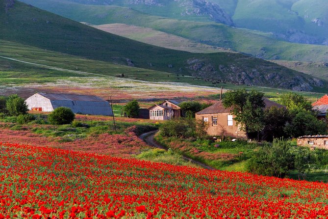 Mtskheta,Jvari,Gori,Uplistikhe(private tour) - Price and value: what $125 covers, and what you’ll still pay