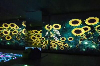 Museum of illusions,Digital Space and Ethnography in Tbilisi